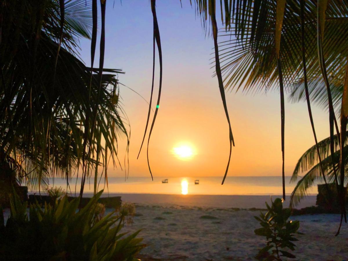 Coconut Village Beach Resort Diani Beach Εξωτερικό φωτογραφία