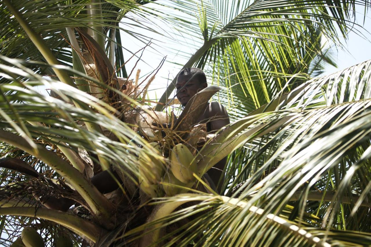 Coconut Village Beach Resort Diani Beach Εξωτερικό φωτογραφία